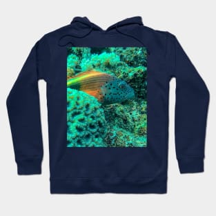 Freckled hawkfish Hoodie